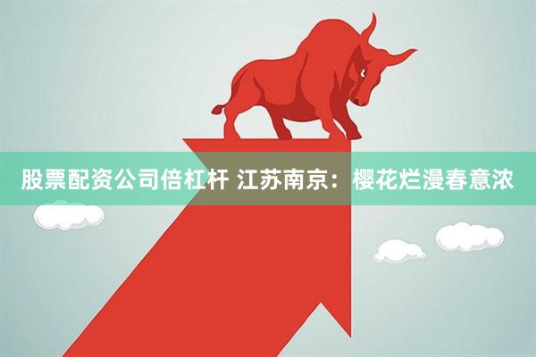 股票配资公司倍杠杆 江苏南京：樱花烂漫春意浓